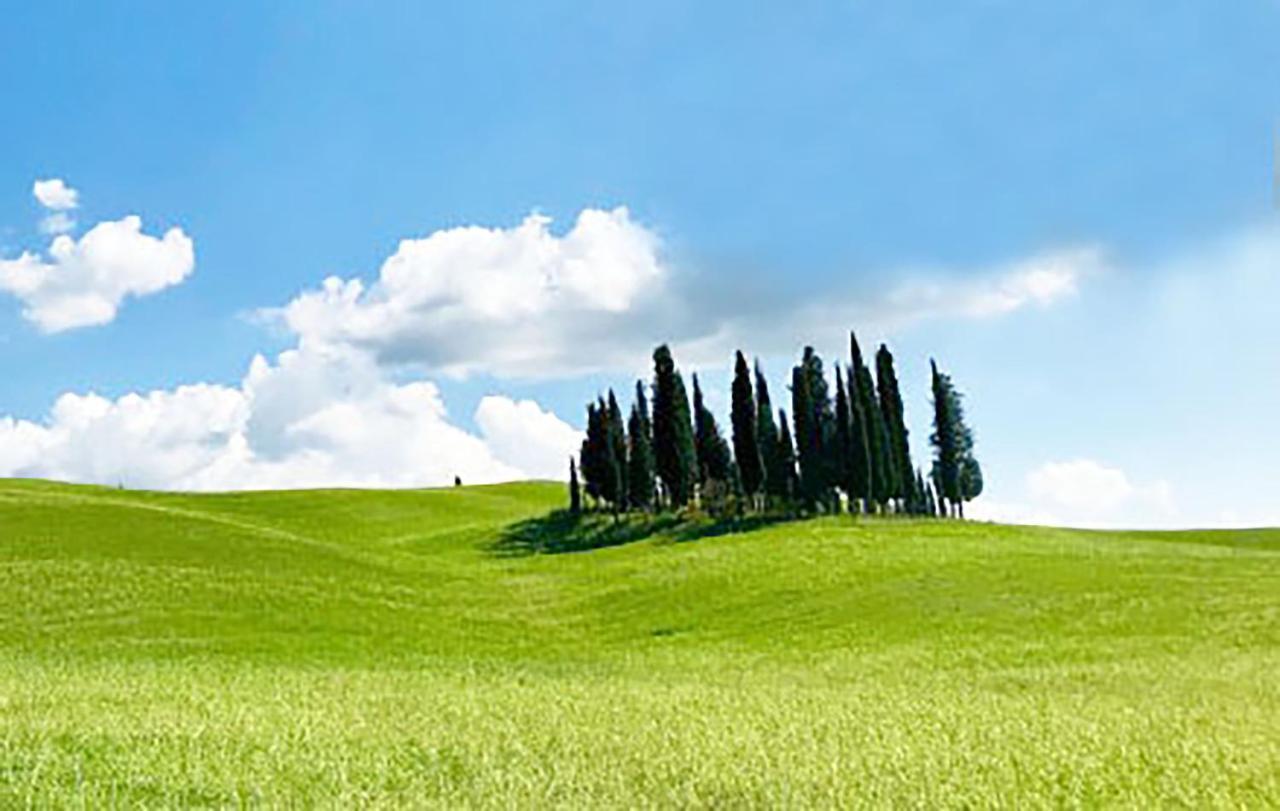 La Casa Nel Poggio 247 Vicino A Siena Appartement Ponte a Tressa Buitenkant foto